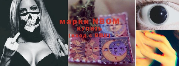 прущие грибы Алексеевка