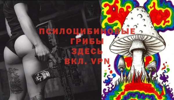 тгк Абинск