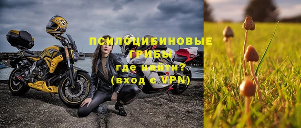 не бодяженный Алзамай