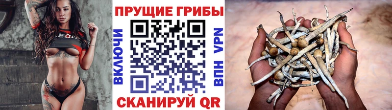Галлюциногенные грибы GOLDEN TEACHER  хочу   Заволжье 